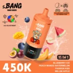 Bang Leader 450.000 Züge – Geschmacksmischung aus Blaubeere, Eis, Pfirsich, Mango, Wassermelone, Passionsfrucht, Melone und Apfel