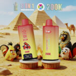 Bang King 200.000 Züge 8-in-1-Aromen: Wassermelone, Eis, Zitrone, Minze, Erdbeere, Eis, Blue Razz, Kirsche – 100vaping