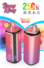 Bang King 250.000 Züge 4-in-1 Zitrone, Limette, Wassermelone, Eis, Black Ice, Drachenfrucht, Erdbeere, Love 66 – 100vaping