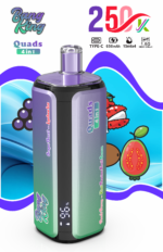 Bang King 250.000 Züge 4-in-1-Geschmacksmischung: Vanille, Cola, Zitrone, Pfirsich, Erdbeere, Himbeere, Kirsche, Eis-Traube – 100vaping