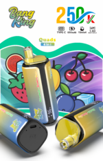 Bang King 250.000 Züge 4-in-1-Geschmacksmischung: Pink Lemonade, Kiwi, Passionsfrucht, Guave, Pfirsich, Beeren, Erdbeere, Banane – 100vaping