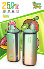 Bang King 250.000 Züge 4-in-1-Aromen: Wassermelone, Eis, Erdbeere, Mango, Blaubeere, Eis, sprudelnde Kirsche – 100vaping