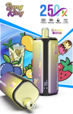 Bang King 250.000 Züge, 4-in-1-Mischung aus Beeren, Kirsche, Zitrone, Erdbeere, Kiwi, Erdbeere, Wassermelone und Kaugummi – 100vaping