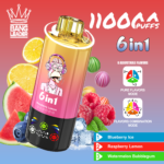 Bang Leader 110.000 Züge 6-in-1-Geschmacksmischung: Blaubeere, Eis, Himbeere, Zitrone, Wassermelone, Kaugummi – 100vaping