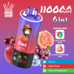 Bang Leader 110.000 Züge 6-in-1-Geschmacksmischung: Fuji, Eis, Apfel, Traube, Kirsche, Granatapfel – 100vaping