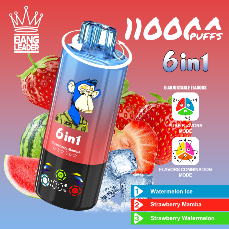 Bang Leader 110.000 Züge 6-in-1 Wassermelone-Eis-Erdbeere-Mamba-Erdbeere-Wassermelone – 100vaping