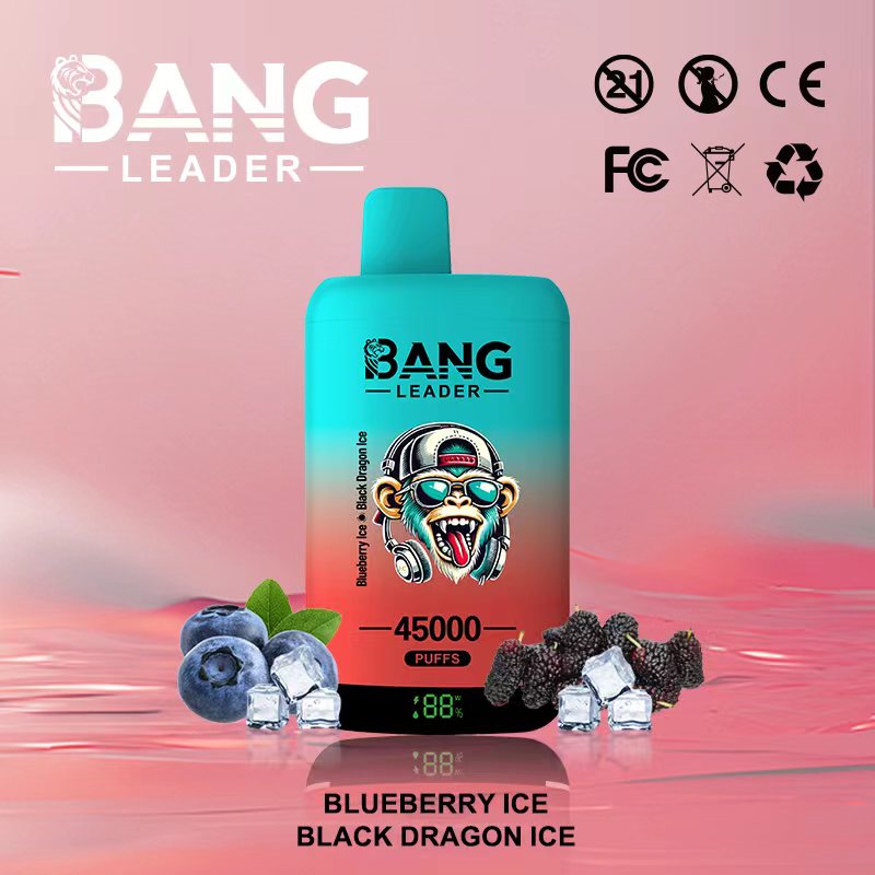 Bang Leader 45.000 Züge, Geschmack „Blueberry Ice“ und „Black Dragon Ice“, Einweg-E-Zigarette – 100vaping