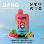 Bang Leader 45K Puffs Strawberry Watermelon Kiwi Passion Fruit Guava Flavor Disposable Vape - 100vaping