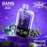 Bang Leader Stoll 120.000 Züge – Geschmack: Blueberry Ice und schwarze Johannisbeere – 100vaping
