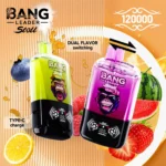 Bang Leader Stoll 120.000 Züge – Einweg-E-Zigarette mit zwei Geschmacksrichtungen (Hauptbild) – 100vaping