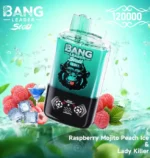 Bang Leader Stoll 120.000 Züge – Himbeer-Mojito-Pfirsich-Eis-„Lady Killer“-Geschmack – 100vaping