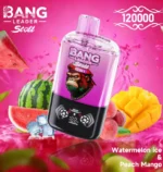 Bang Leader Stoll 120.000 Züge, Geschmack: Wassermelone, Eis, Pfirsich, Mango – 100vaping