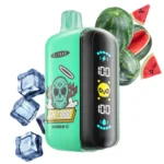 ELF BAR GH23000 23000 Puffs Watermelon Ice Flavor Disposable Vape - 100vaping