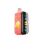 ELF BAR RAYA D3 25.000 Züge Wassermelone-Eis Einweg-E-Zigarette – 100vaping