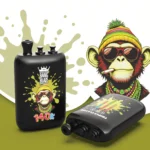 Bang Blaze 140.000 Züge 3-in-1 Einweg-E-Zigarette mit den Geschmacksrichtungen Erdbeere, Kiwi, Wassermelone, Kaugummi, Heidelbeere und Kirsche – 100vaping