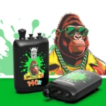 Bang Blaze 140.000 Züge 3-in-1-Einweg-E-Zigarette mit den Geschmacksrichtungen Wassermelone, Eis, Erdbeere, Litschi und Gummibärchen – 100vaping