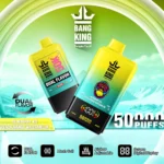 Bang King Einweg-E-Zigarette mit 50.000 Zügen in den Geschmacksrichtungen Blaubeere, Eis, Pfirsich, Mango und Wassermelone – 100vaping