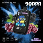 Bang DE Einweg-E-Zigarette mit 90.000 Zügen, Geschmack „Traube und schwarze Johannisbeere“ – 100vaping