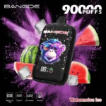 Bang DE Einweg-E-Zigarette mit 90.000 Zügen, Geschmack „Watermelon Ice“ – 100vaping