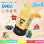 Bang DE 300K Puffs 5-in-1 Blueberry Watermelon Peach Ice Mango Ice Cranberry Grape Blackcurrant Flavor - 100vaping