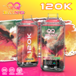 QQ Bang Einweg-E-Zigarette mit 120.000 Zügen, Geschmack „Cherry Watermelon Freeze“ – 100vaping