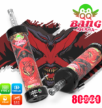 QQ Bang Shisha 80K Puffs Cherry Mint Flavor Disposable Vape - 100vaping