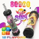 QQ Bang Shisha 80.000 Züge Einweg-Vape – Hauptbild – 100vaping