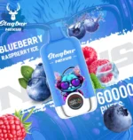 Stagbar Nexus Einweg-E-Zigarette mit 60.000 Zügen, Geschmack „Blueberry Raspberry Ice“ – 100vaping