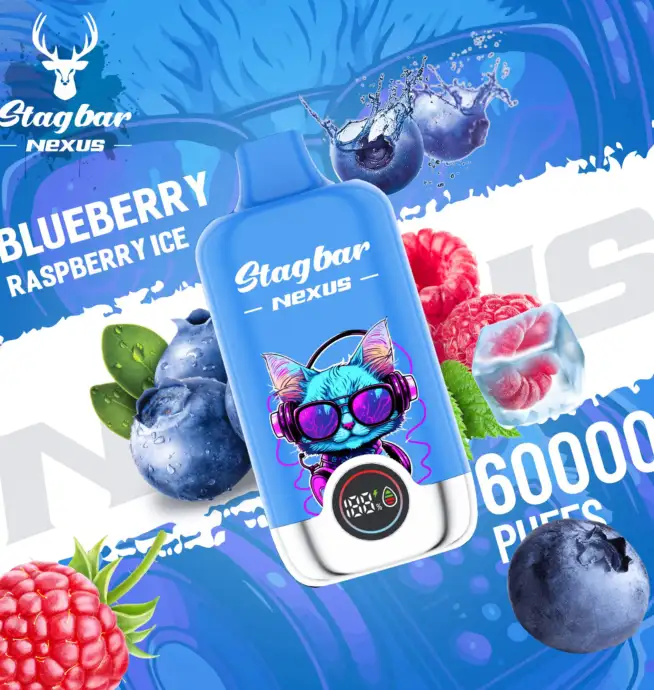 Stagbar Nexus Einweg-E-Zigarette mit 60.000 Zügen, Geschmack „Blueberry Raspberry Ice“ – 100vaping