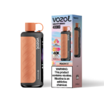 VOZOL Gear Hookah 40.000 Züge, Geschmack „Peach Ice“, Einweg-E-Zigarette – 100vaping