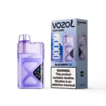 VOZOL NEON Einweg-E-Zigarette mit 60.000 Zügen, Geschmack „Blackberry Ice“ – 100vaping