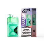 VOZOL NEON Einweg-E-Zigarette mit 60.000 Zügen, Geschmack: Brombeere, Granatapfel und Kirsche – 100vaping