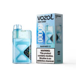 VOZOL NEON Einweg-E-Zigarette mit 60.000 Zügen, Geschmack „Blue Razz Ice“ – 100vaping