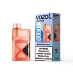 VOZOL NEON Einweg-E-Zigarette mit 60.000 Zügen, Geschmack „Blueberry Energy“ – 100vaping