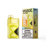 VOZOL NEON Einweg-E-Zigarette mit 60.000 Zügen, Geschmack „Pineapple Ice“ – 100vaping