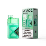 VOZOL NEON Einweg-E-Zigarette mit 60.000 Zügen und Spearmint-Geschmack – 100vaping
