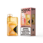 VOZOL NEON Einweg-E-Zigarette mit 60.000 Zügen, Wassermelonen- und Melonenaroma – 100vaping