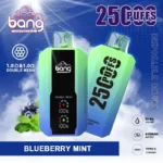 Bang 25K Puffs Disposable Vape Rechargeable – Blueberry Mint