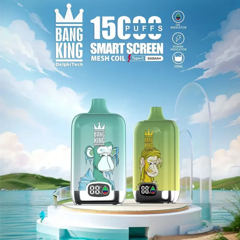 Bang King Smart Screen 15K Puffs Disposable Vape – product view