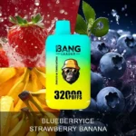 Bang Leader 32K Puffs Disposable Vape Rechargeable – Blueberry Ice