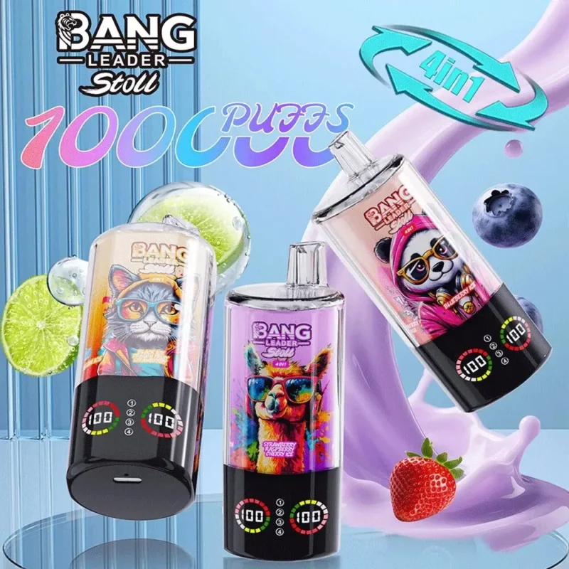 Bang Leader Stoll 100.000 Züge, 4-in-1-Aromen, LED-Anzeige, Einweg-E-Zigarette – Produktansicht