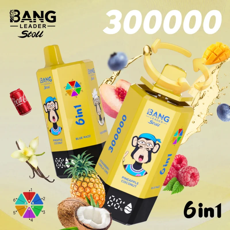 Bang Leader Stoll 300K Puffs 6-in-1 Disposable Vape Rechargeable – product view