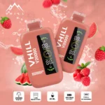 VHILL Einweg-E-Zigarette mit 20.000 Zügen, Geschmacksrichtung Wassermelone-Himbeere