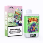VHILL TWINS 60.000 Züge – Sour Mango, Ananas, Wassermelone, Eis – Einweg-E-Zigarette